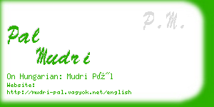 pal mudri business card